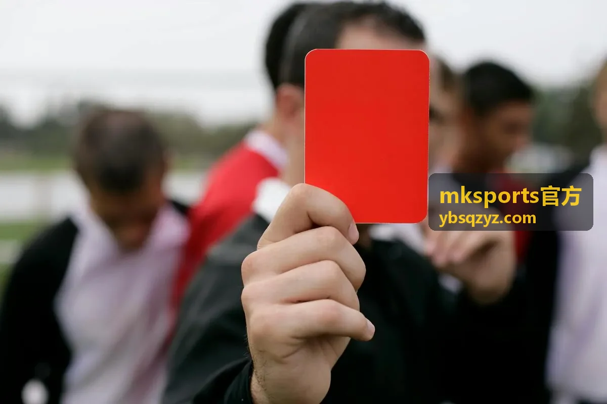 mksports官方团队定制印号与配色方案