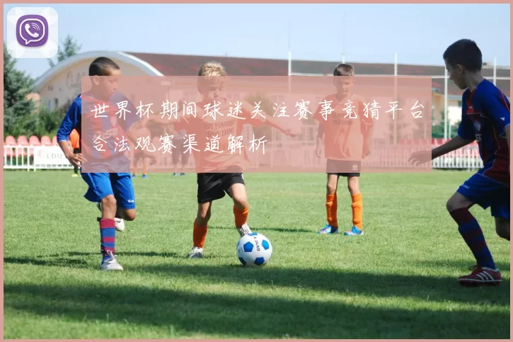 世界杯期间球迷关注赛事竞猜平台合法观赛渠道解析