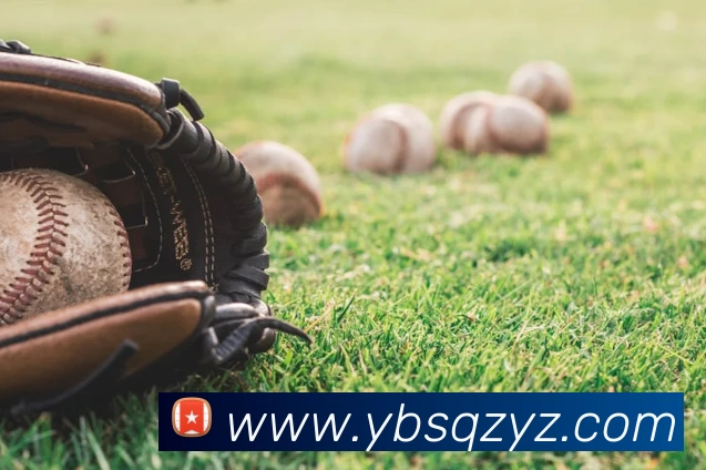 星空网官网首页入口APP 封面图